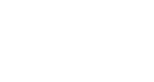 Snap Services